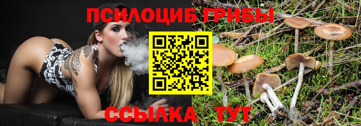 Псилоцибиновые грибы Psilocybe Нижневартовск