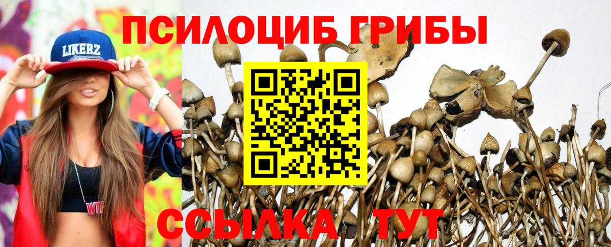 Галлюциногенные грибы Psilocybine cubensis  дарнет шоп  Псилоцибиновые грибы мицелий  Нижневартовск  Вход с VPN 