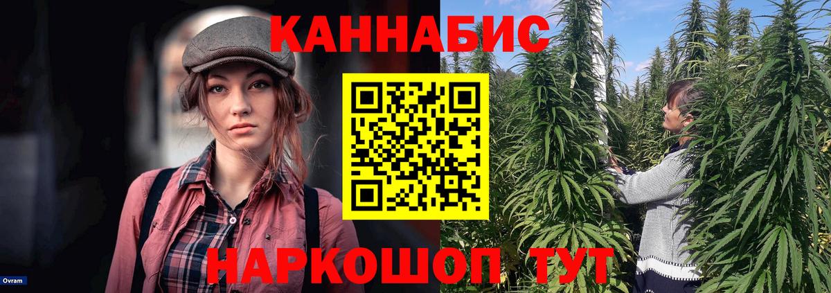 Бошки Шишки VHQ  Конопля White Widow  МАРИХУАНА план  Вход с VPN  Нижневартовск 